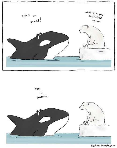 comic,halloween costumes,polar bear,killer whale,panda