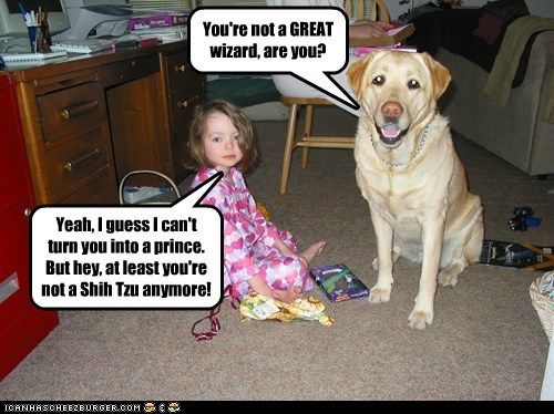 dogs,wizard,prince,what breed,little girl,magic