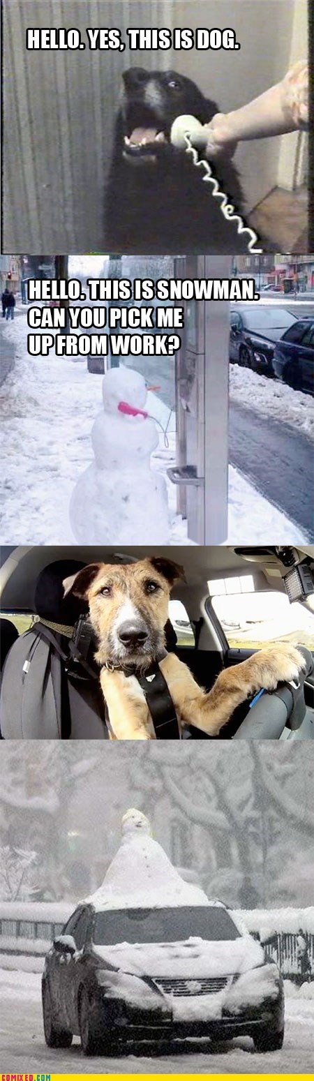yes this is dog,driving,payphone,snowman,dogs,hello yes this is dog,snowmen,cars,Memes