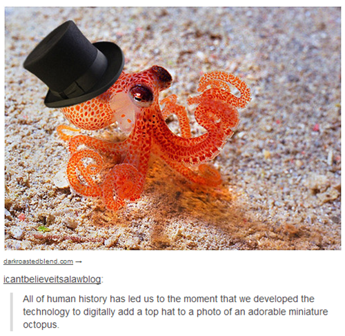 top hat,octopus,poorly dressed,g rated