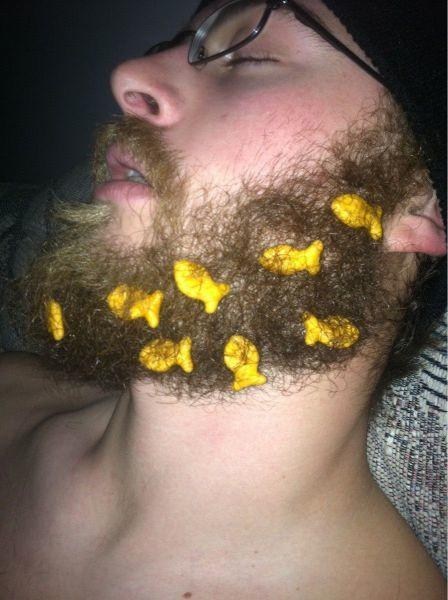 beard,sleeping,goldfish crackers