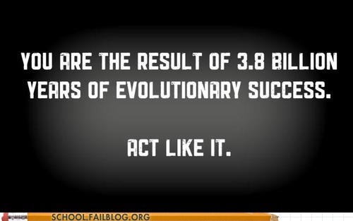 yolo people evoloution idiots - 6982558208