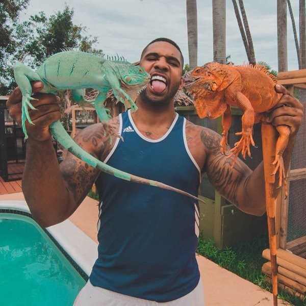 exotic animal specialist