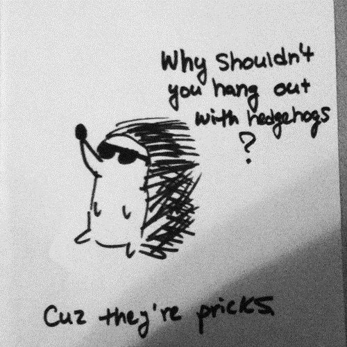 question answer quills advice hedgehog double meaning - 7104304128