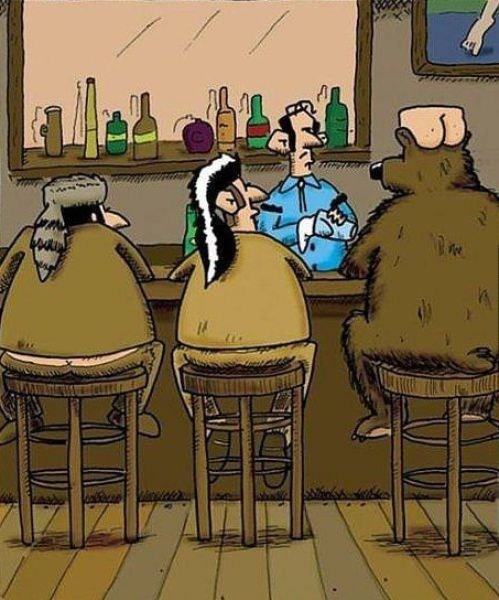 bears,comics,hats