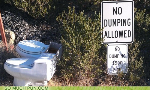 dumping,toilet
