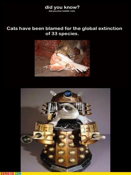 sad but true,daleks,extinction,Cats