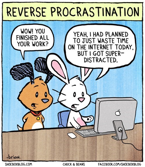 procrastination internet comics - 7264840448