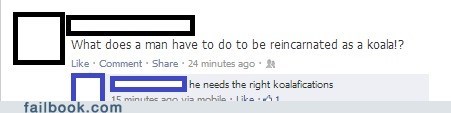 koalafications koala failbook