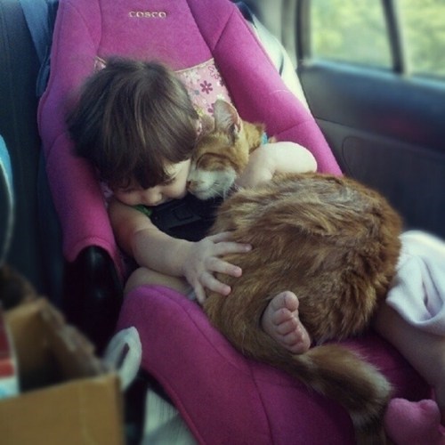 cuddle,car