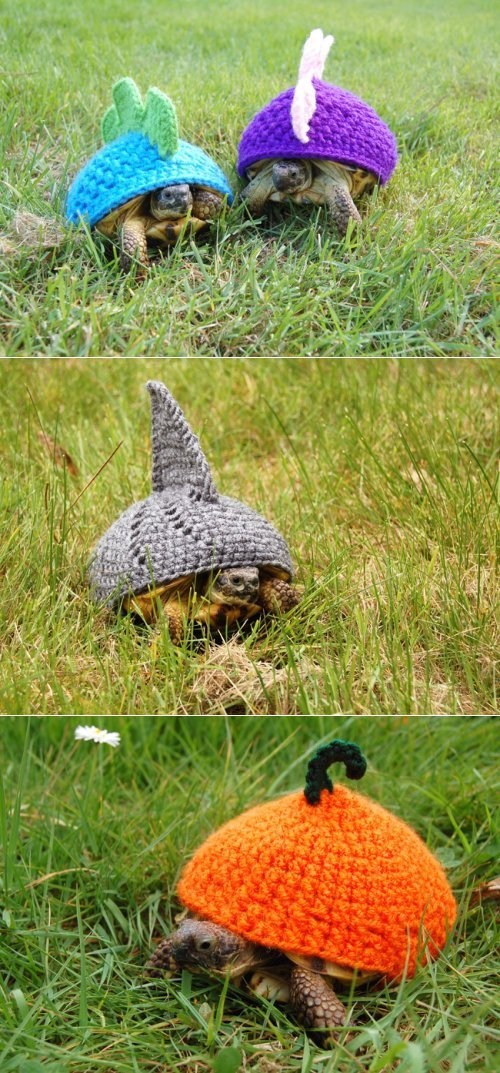Knitta Please,turtles,knitting