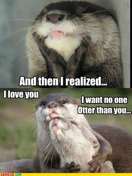 puns,critters,otters,love,funny