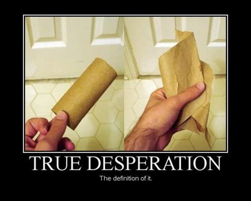 desperation,toilet paper,funny,cardboard