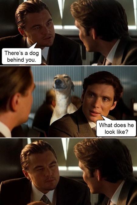 dogs,leonardo dicaprio,Inception,squinting,funny