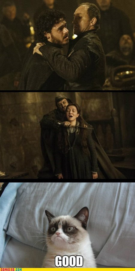 starks Grumpy Cat Game of Thrones spoilers funny - 7537851648
