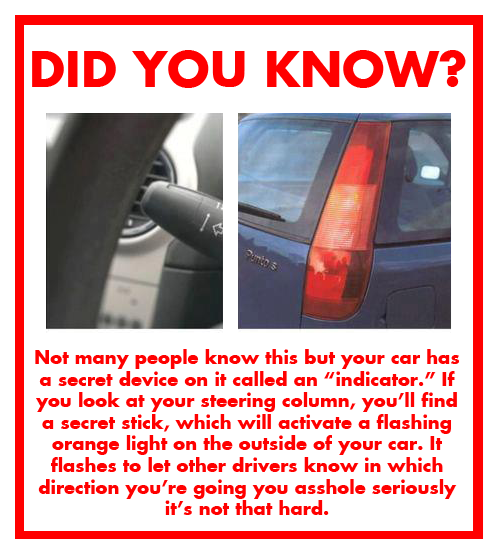 blinker,turn signal,driving