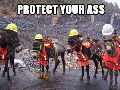 safety first,puns,funny