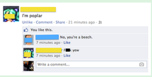 trees,puns,facebook,funny