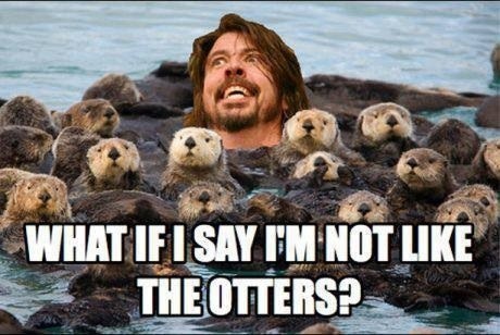 Music Dave Grohl puns otters foo fighters funny