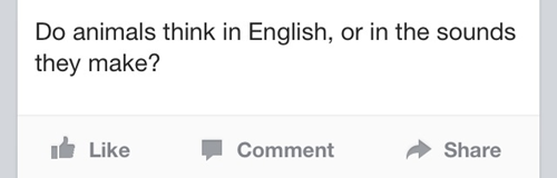 languages,thinking,swedish,animals,failbook,g rated