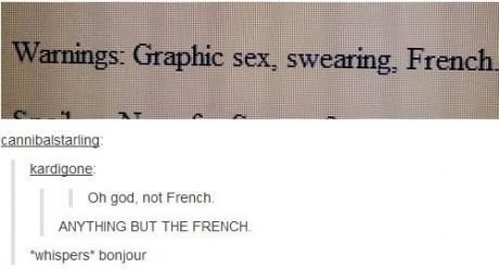 tumblr,bonjour,omelette du fromage,french,france