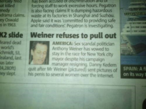 puns,headlines,Anthony Weiner,funny