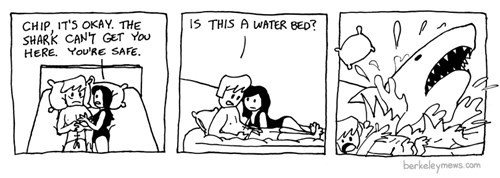 water beds shark week sharks funny