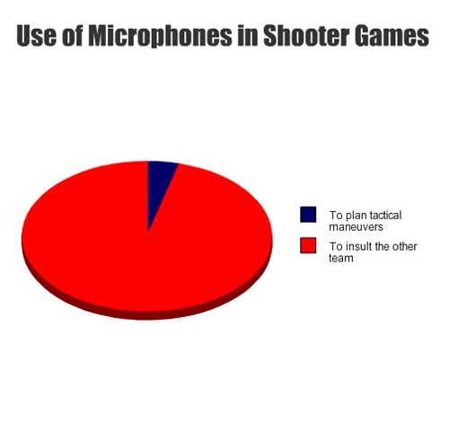 games,microphone,insults