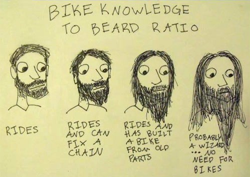 wizard,knowledge,bike