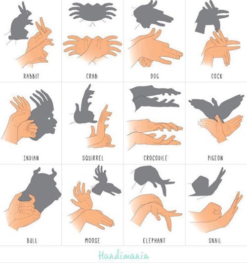 shadow,hands,animals
