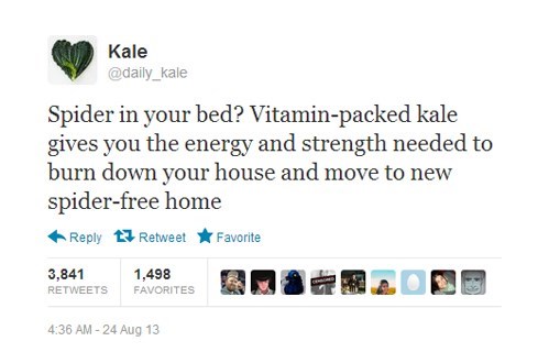 spiders,kale,vegetables,daily kale,failbook,g rated