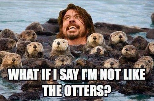 pun others otters - 7765953792