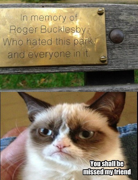 hate,Grumpy Cat,park,funny