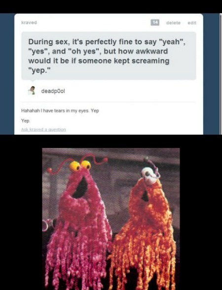 muppets,yep,funny