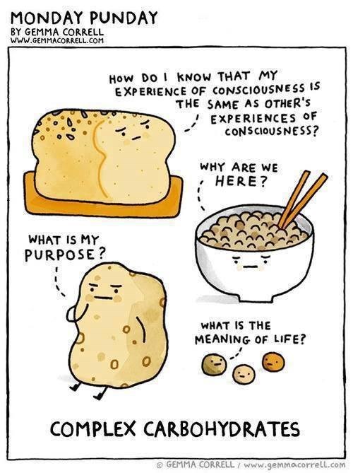 questions complex carbohydrates