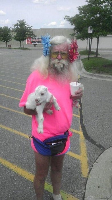 wtf,pink,goats,dad,funny