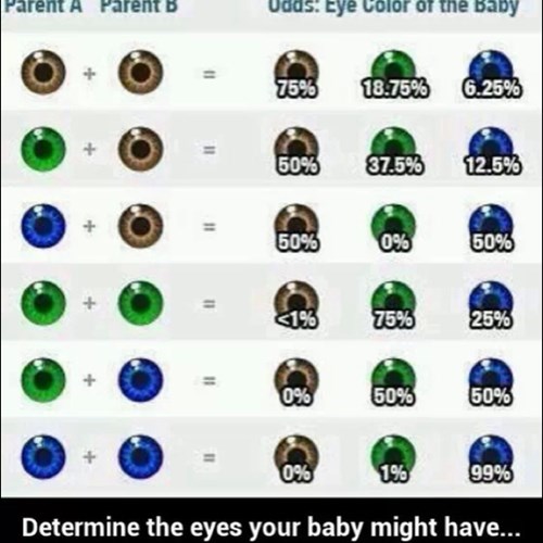 baby,Chart,Genetics,science,parenting,eye colour