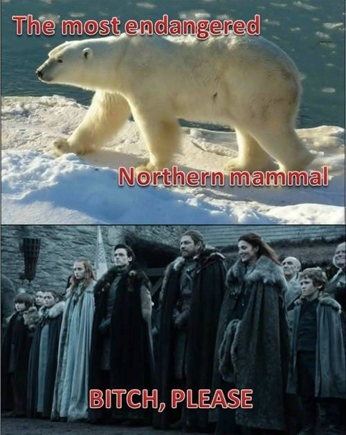 Game of Thrones - 7916595712