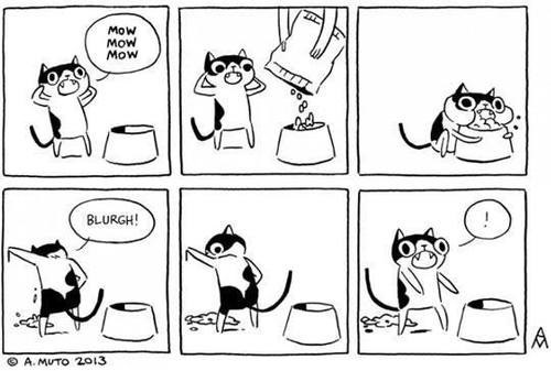 Cats,food,logic,web comics