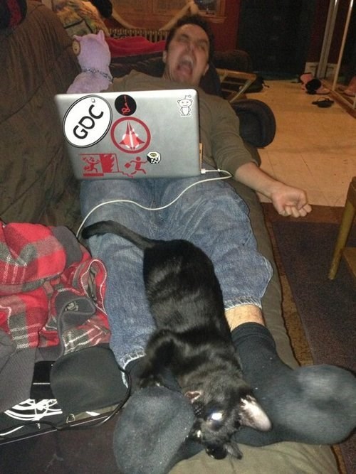 Cats photobomb - 7936625920
