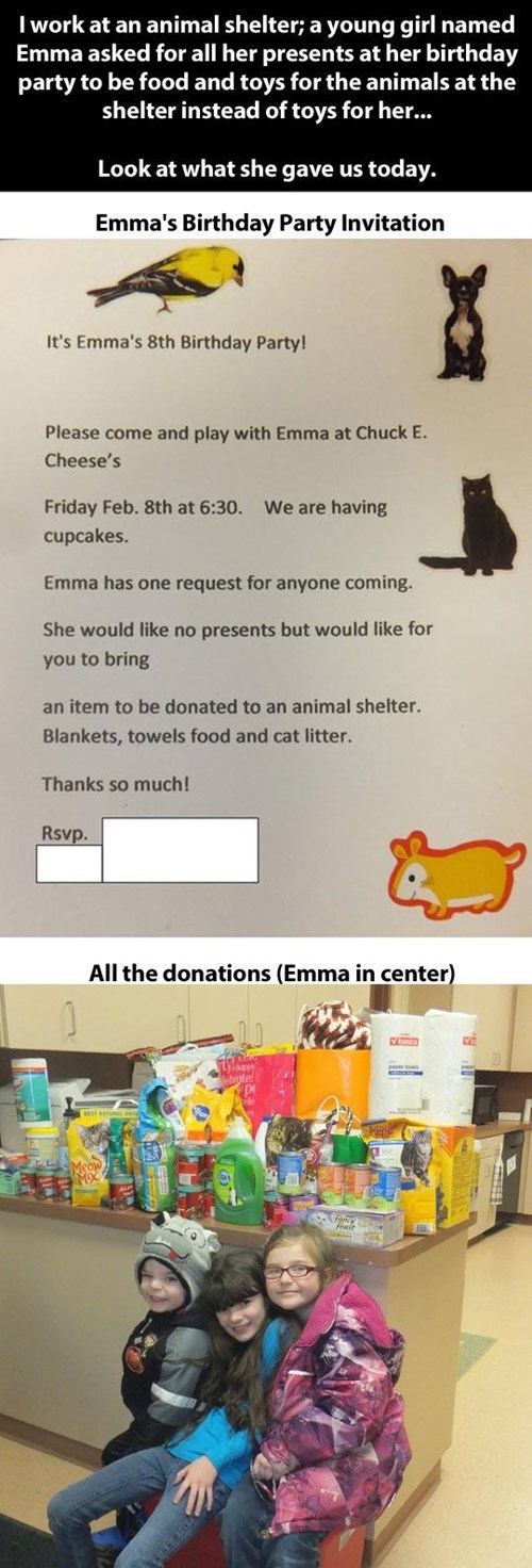 charity,pets,random act of kindness