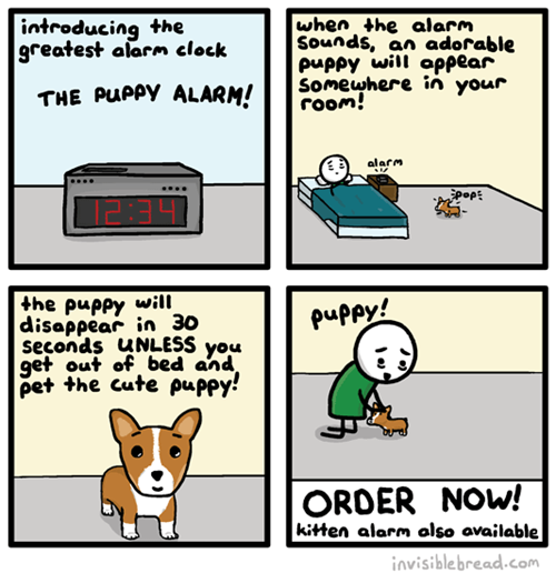 puppies,alarms,web comics