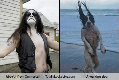 abbath dogs immortal totally looks like - 8003119104