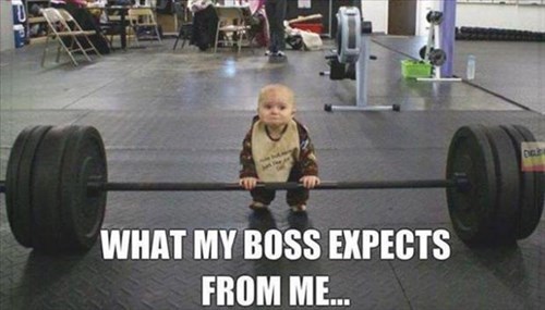 monday thru friday Babies bosses work weights