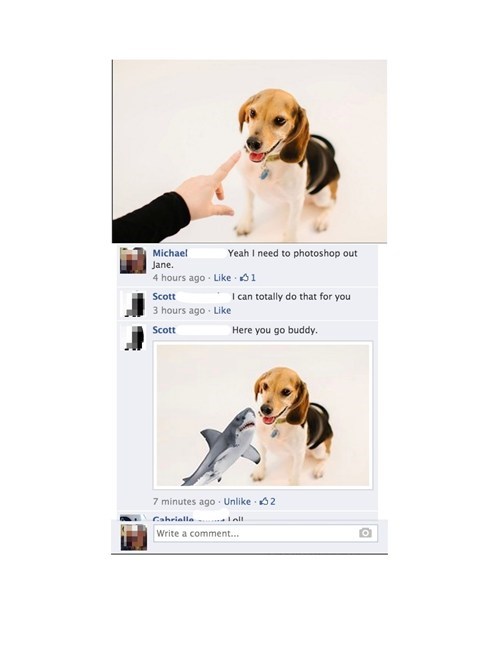 dogs photoshop shark trolled failbook - 8061111552