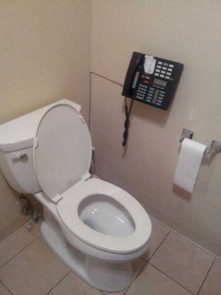 bathroom monday thru friday phone toilet work - 8074178560