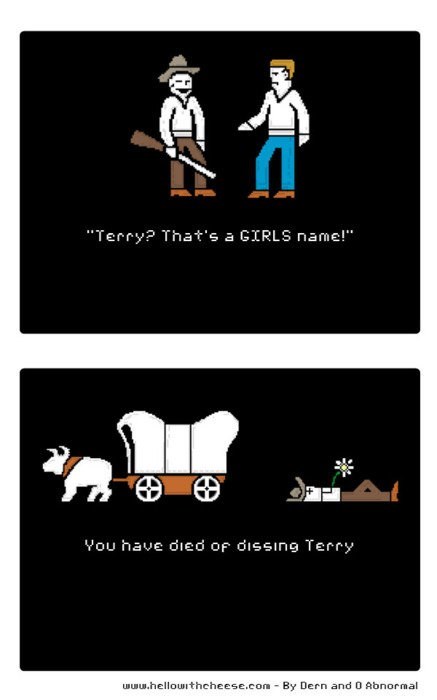 gender,oregon trail,web comics