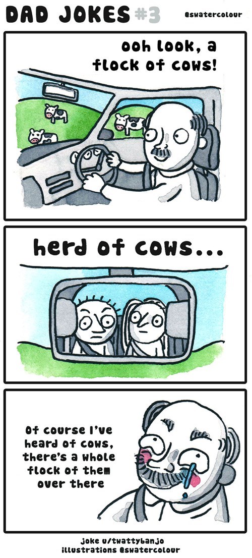 dads,dad jokes,puns,web comics