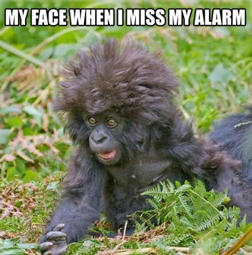 monday thru friday,alarm,overslept,work