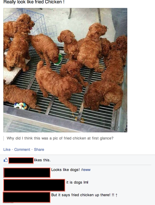 dogs,chicken,pets,not what it looks like,g rated
